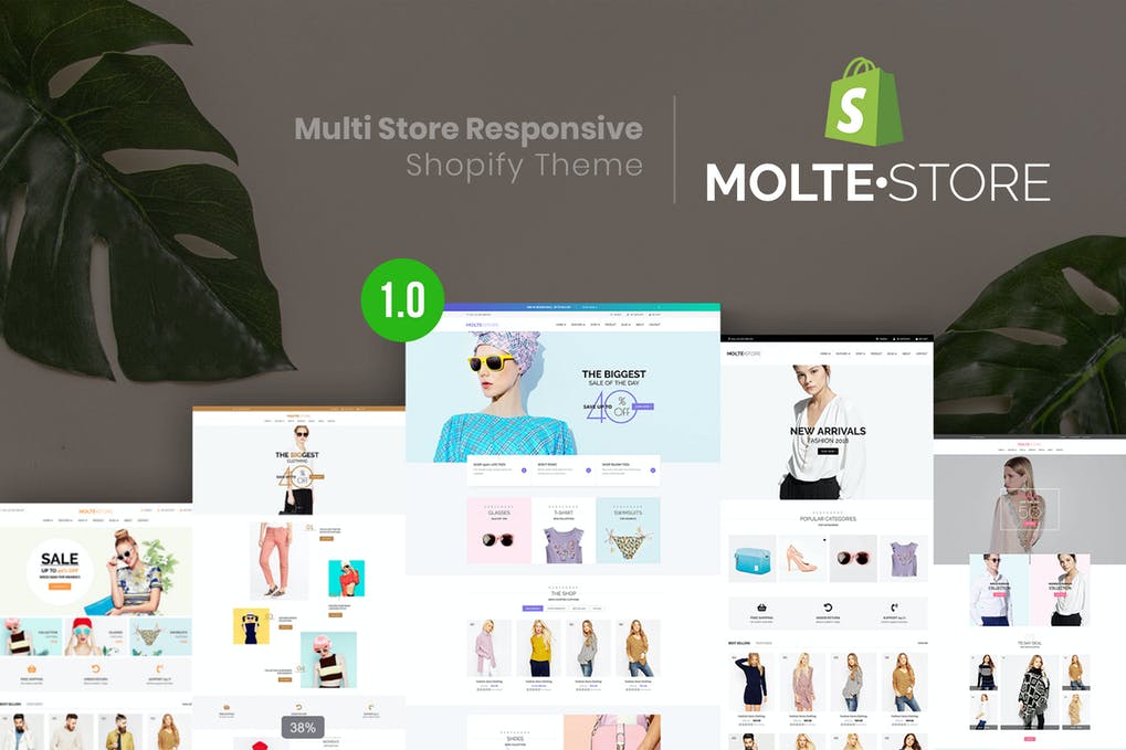 Free MolteStore Multi Store Responsive Shopify Theme Download