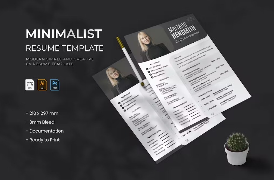 Free Minimalist Resume Template Download