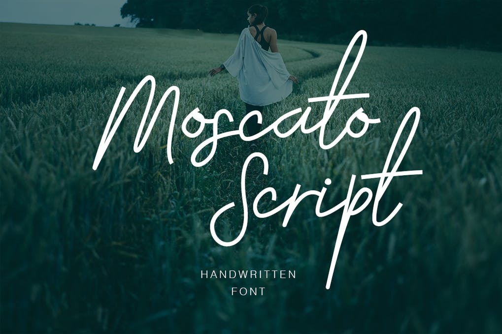 Free Moscato Script Font Download