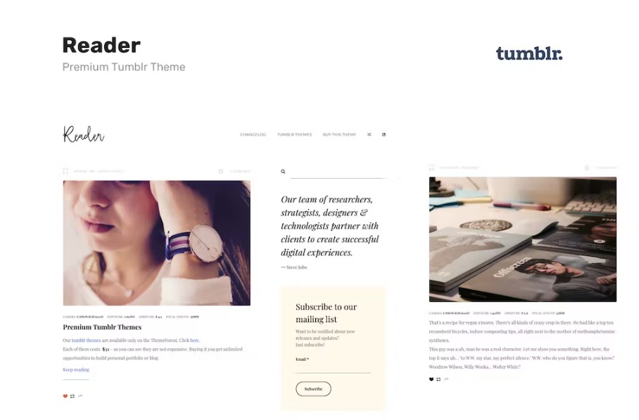 Free Reader Responsive Blogging Tumblr Theme Download