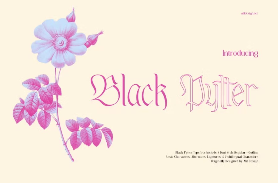 Free Black Pytter Typeface Font Download