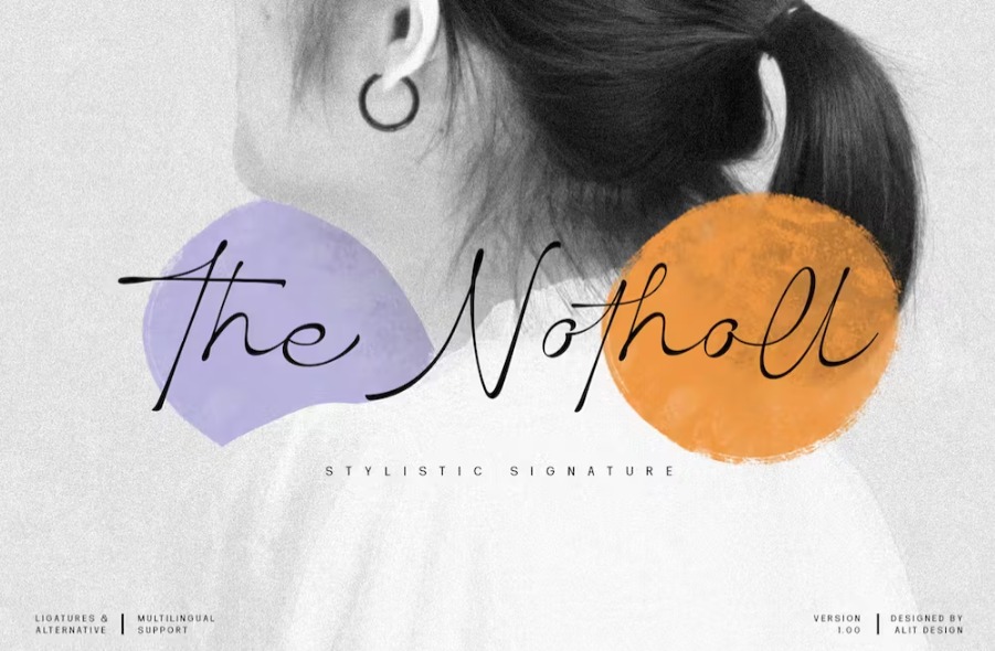 Free The Notholl Script font Font Download