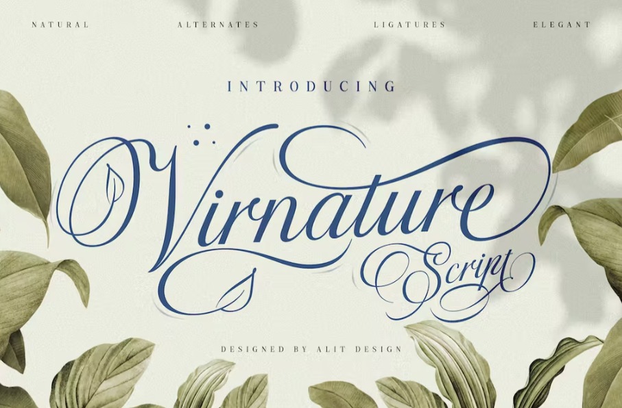 Free The Virnature Nature Script font Download