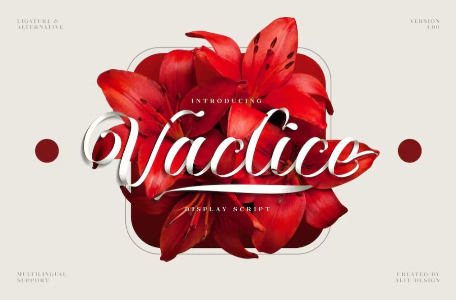 Free Vaclice Script font Download